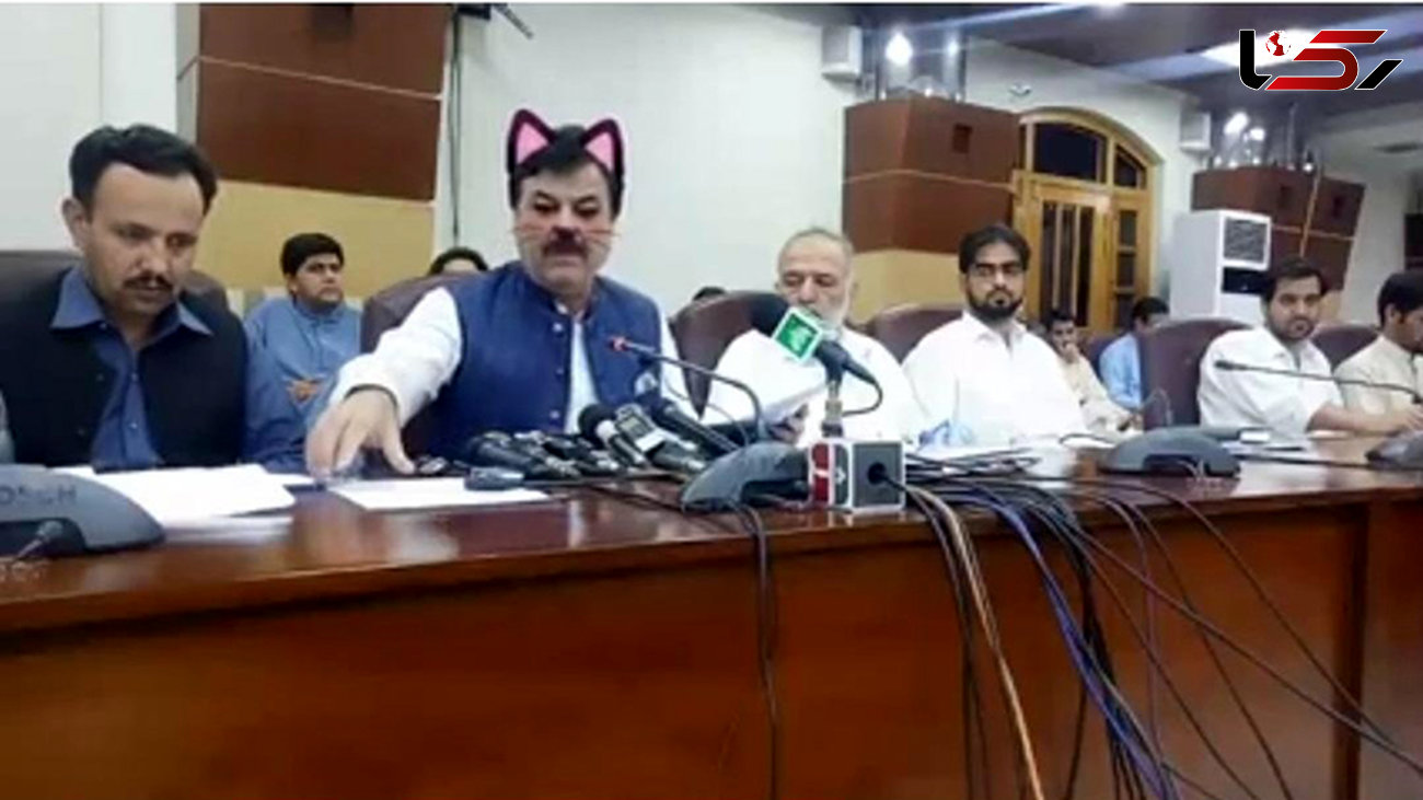 مقامات پاکستانی به گربه های صورتی تبدیل شدند/ واقعی + عکس