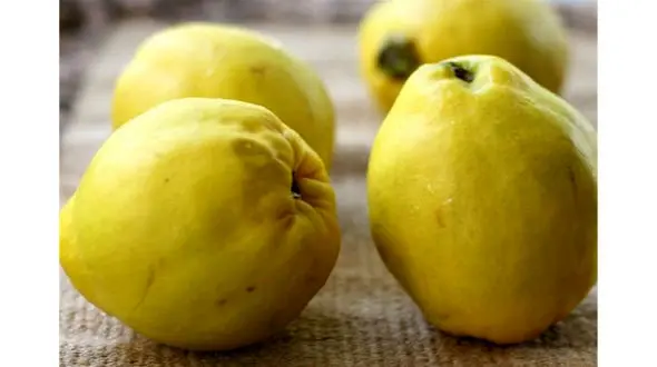 میوه ای که روحیه را احیا می کند