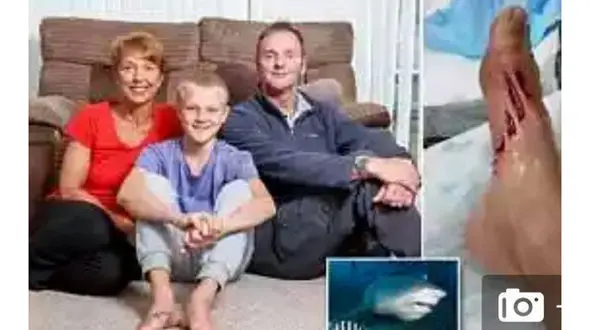 خوش شانسی پسر نوجوان درحمله مرگبار گاو کوسه + عکس