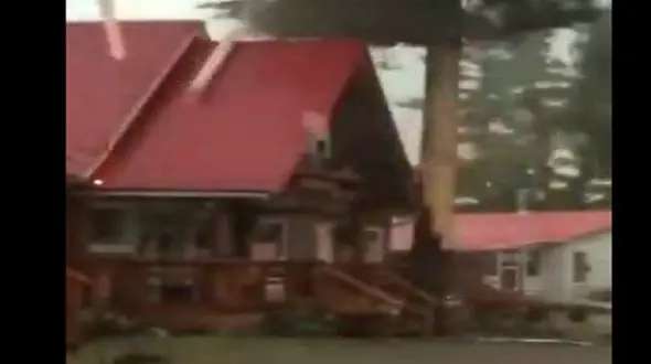 این درخت خانواده ای را از زنده زنده سوختن نجات داد + فیلم
