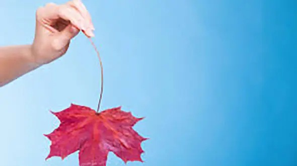 دنیای خانم ها پس از یائسگی / زنان میانسال چه مشکلاتی دارند؟ 