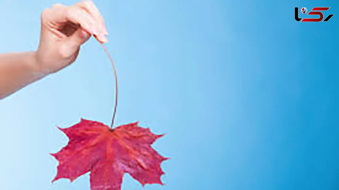 دنیای خانم ها پس از یائسگی / زنان میانسال چه مشکلاتی دارند؟ 