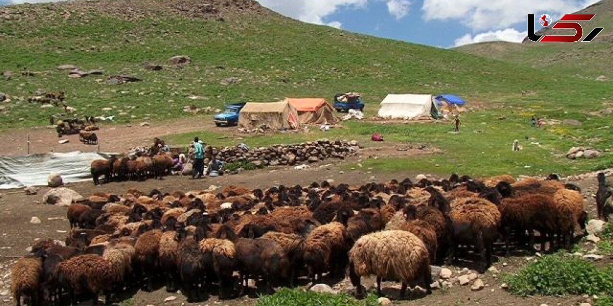 جلوگیری از کوچ زود هنگام عشایر به سطح مراتع لرستان