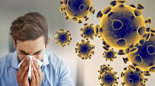 سونامی آنفولانزا در راه است / دکتر طبرسی هشدار داد + فیلم 