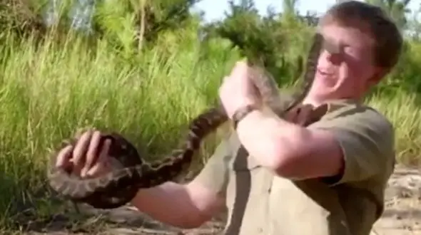 فیلم لحظه حمله مار به صورت مارگیر ناشی + عکس