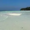 وقتی دنبال بهترینی راهو اشتباه نرو