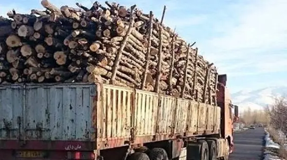 کشف چوب های قاچاق از یک کامیونت در آمل