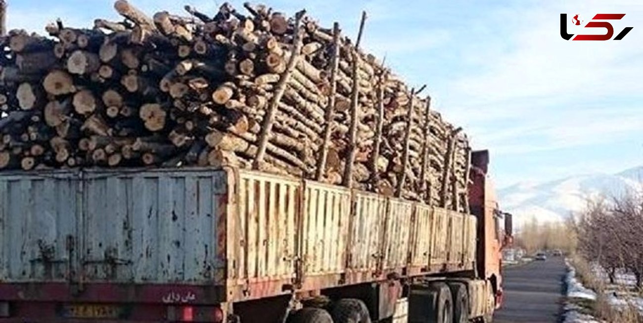 کشف چوب های قاچاق از یک کامیونت در آمل