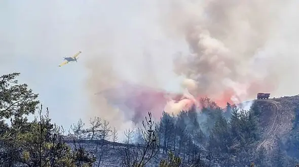 آتش سوزی جنگل 4 آتش نشان را سوزاند / در فرانسه رخ داد