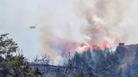 آتش سوزی جنگل 4 آتش نشان را سوزاند / در فرانسه رخ داد