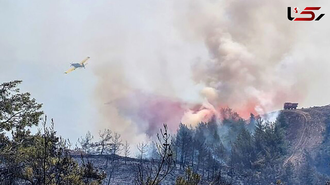آتش سوزی جنگل 4 آتش نشان را سوزاند / در فرانسه رخ داد