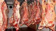 توزیع روزانه حدود ۵ تن گوشت گرم گوسفندی به منظور تنظیم بازار 