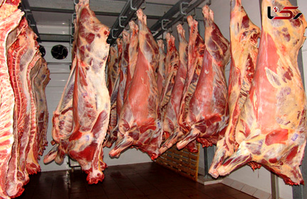 توزیع روزانه حدود ۵ تن گوشت گرم گوسفندی به منظور تنظیم بازار 