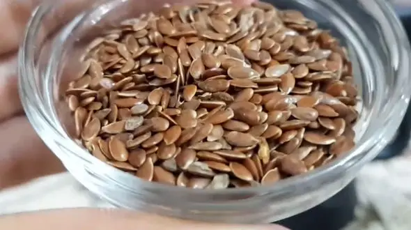 طرز تهیه دمنوش تخم کتان / با دمنوش تخم کتان به جنگ اضافه وزن و سرطان بروید | فیلم