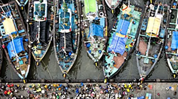 بازار ماهی فروشان در بمبئی