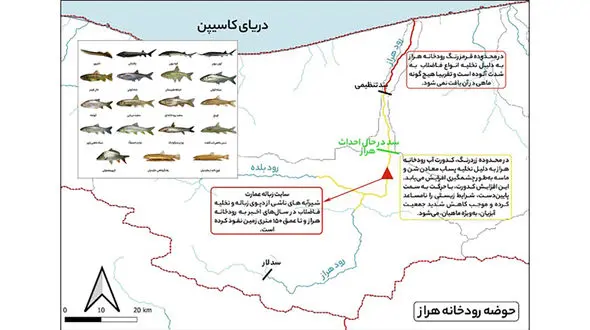 فاجعه زیست‌محیطی در هراز ؛ ورود ۵۰۰۰ لیتر فرمالین در ماه به شریان حیاتی شمال! / هراز دیگر زیستگاه ماهیان نیست! + جدول