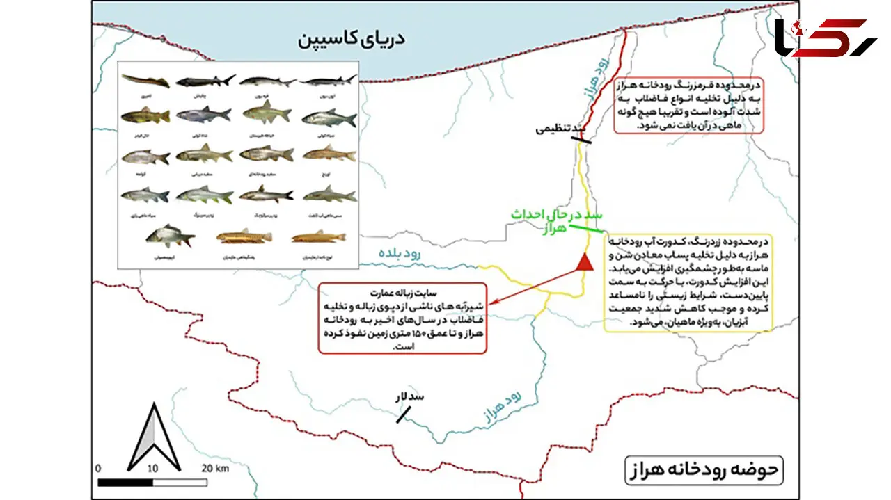 فاجعه زیست‌محیطی در هراز ؛ ورود ۵۰۰۰ لیتر فرمالین در ماه به شریان حیاتی شمال! / هراز دیگر زیستگاه ماهیان نیست! + جدول