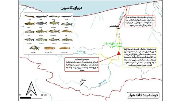 فاجعه زیست‌محیطی در هراز ؛ ورود ۵۰۰۰ لیتر فرمالین در ماه به شریان حیاتی شمال! / هراز دیگر زیستگاه ماهیان نیست! + جدول