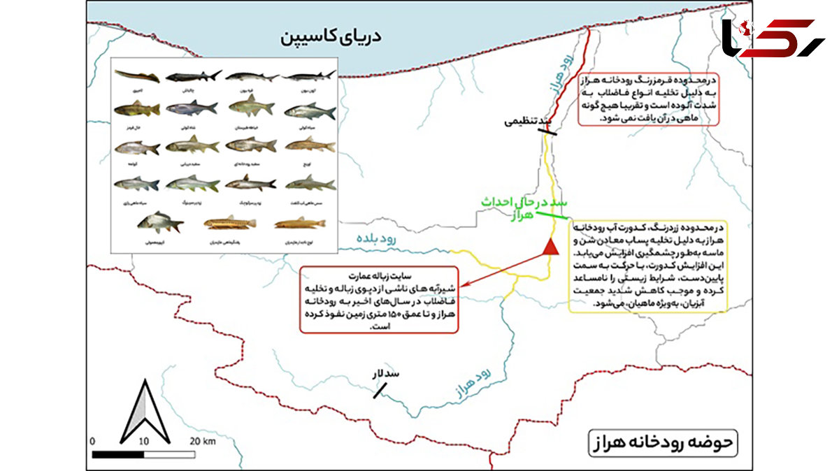 فاجعه زیست‌محیطی در هراز ؛ ورود ۵۰۰۰ لیتر فرمالین در ماه به شریان حیاتی شمال! / هراز دیگر زیستگاه ماهیان نیست! + جدول
