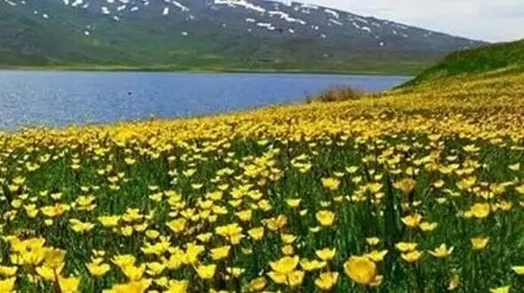 دو چهرع زیبای ایران / کرمانشاه و اردبیل