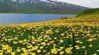 دو چهرع زیبای ایران / کرمانشاه و اردبیل