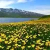 دو چهرع زیبای ایران / کرمانشاه و اردبیل