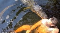فیلم / واکنش غواص خارجی پس از حمله تمساح 