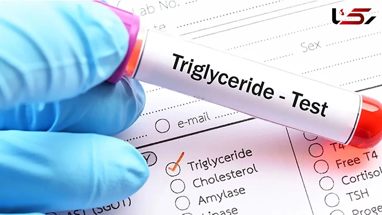 triglycerid چیست؟ / چرا ناشتایی مهم است؟