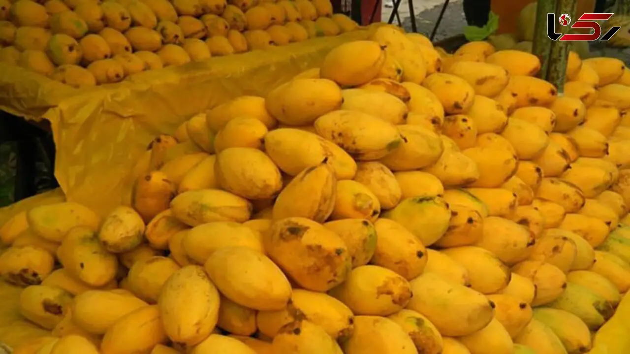 خواص انبه در بارداری + جدول ارزش غذایی انبه