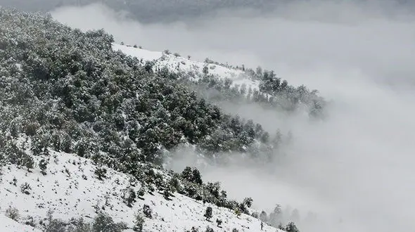 ارتفاعات ۴ استان کشور سفید پوش می‌شود/ وزش باد شدید در ۷ استان
