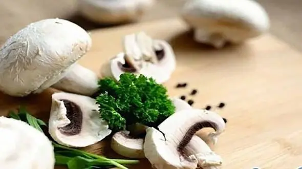 مصرف قارچ خطر افسردگی را کاهش می دهد