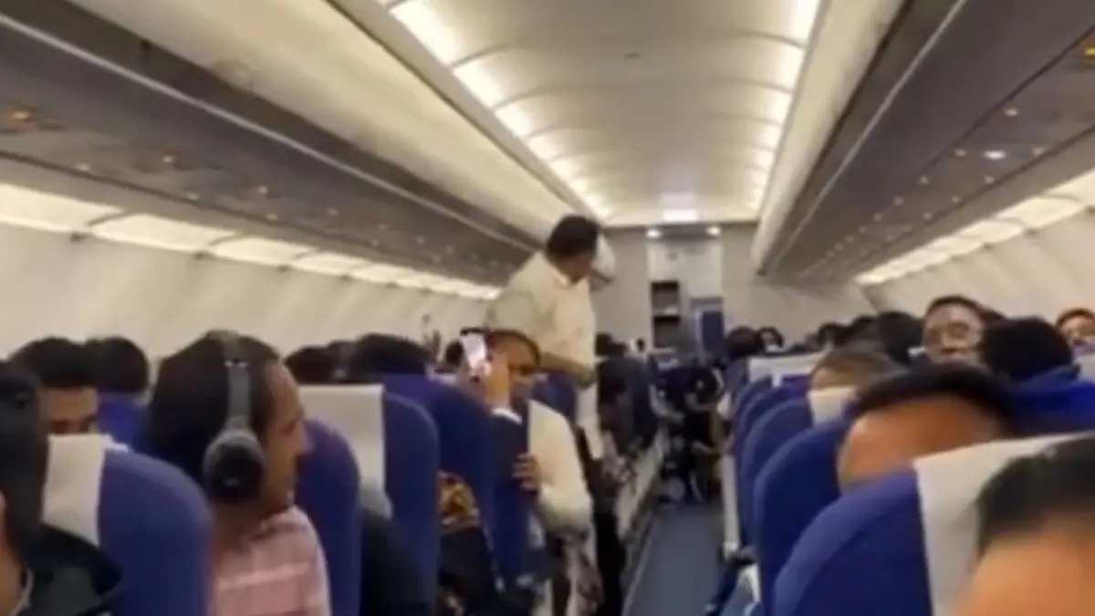 فیلم ورود ناگهانی کبوتر به هواپیمای هندی