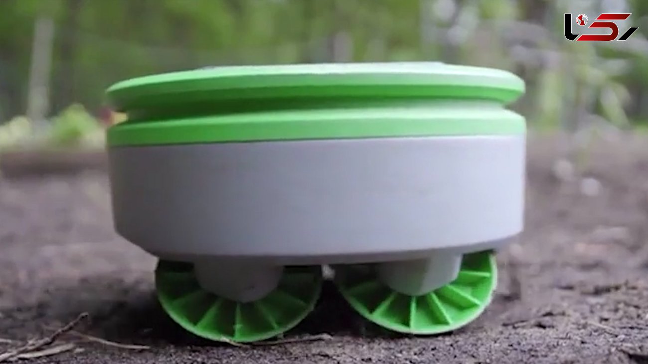این ربات خانه دار  علف های هرز باغچه را هرس می کند+ فیلم