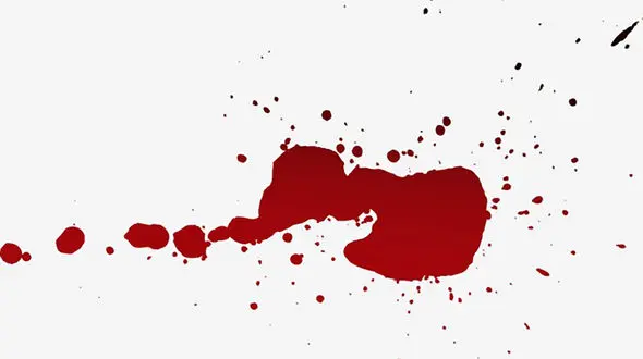 پسر بی رحم پدر پیرش را به قتل رساند / در بوشهر رخ داد