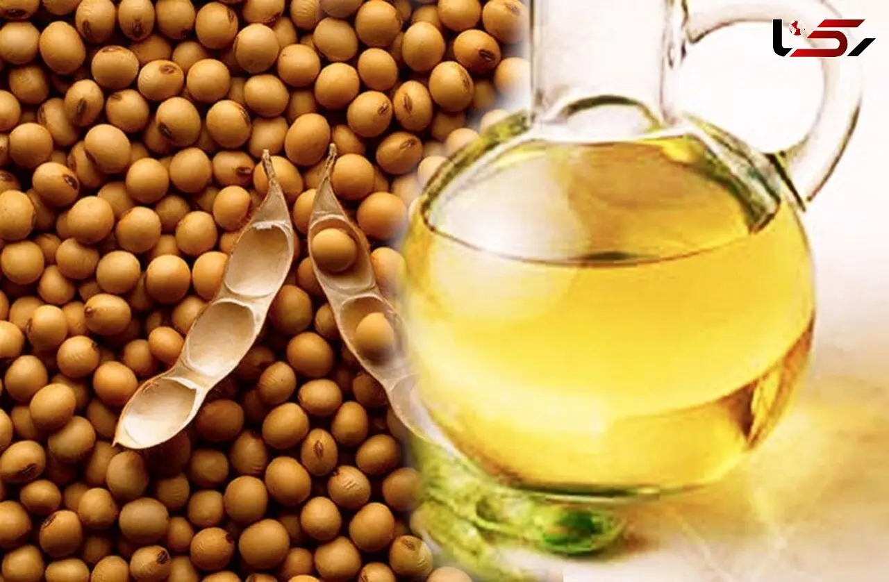 بینایی تان با این روغن گیاهی دو برابر می شود/آلزایمر را نیز به تعویق می اندازد