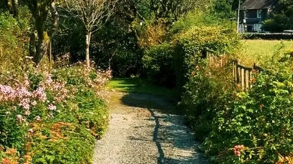 شکست مسیر موفقیت است 