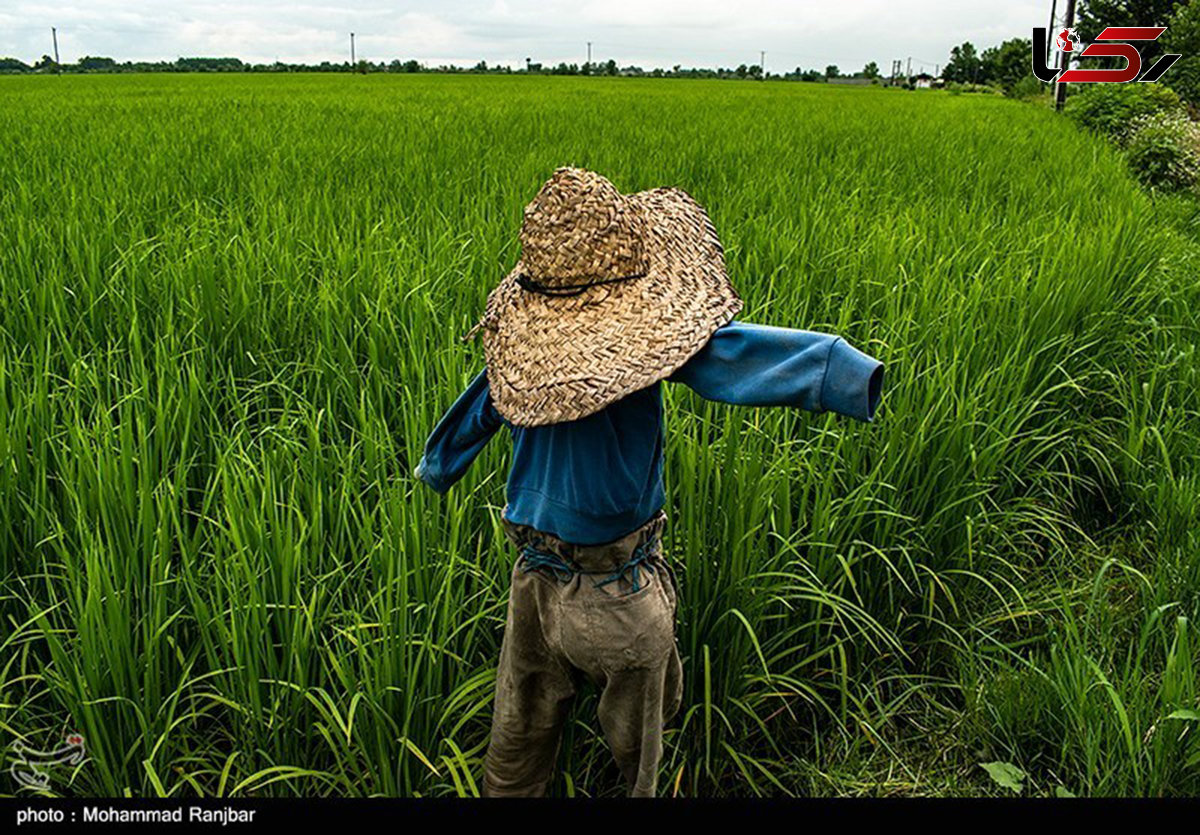 هشدار وقوع سیلاب و وزش باد ۸۰ کیلومتری در گیلان و گلستان 