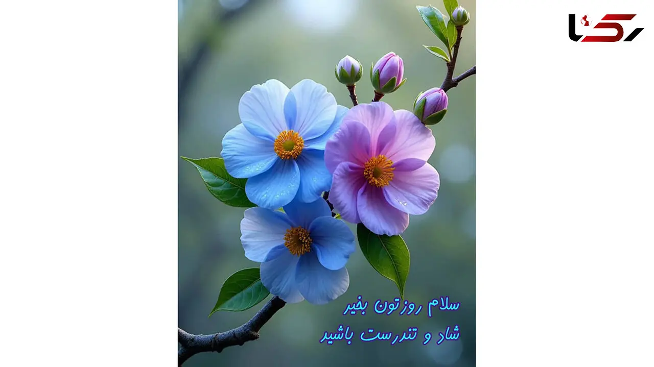 فال ابجد واقعی 10 دی / فیلم