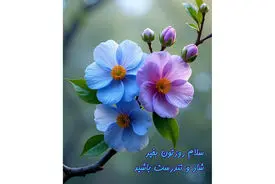 فال ابجد واقعی 10 دی / فیلم