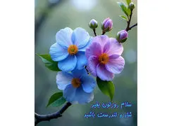 فال ابجد واقعی 10 دی / فیلم