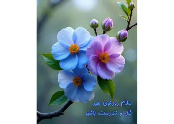 فال ابجد واقعی 10 دی / فیلم