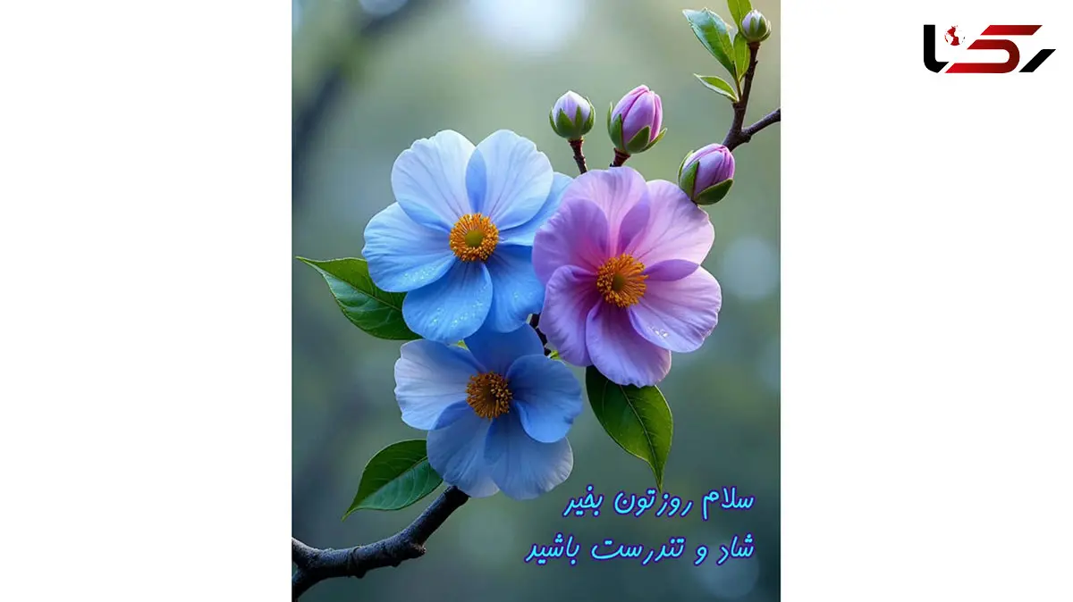 فال ابجد واقعی 10 دی / فیلم