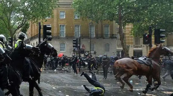 لحظه برخورد پلیس زن به تیر چراغ قرمز پس از فرار اسب! + فیلم