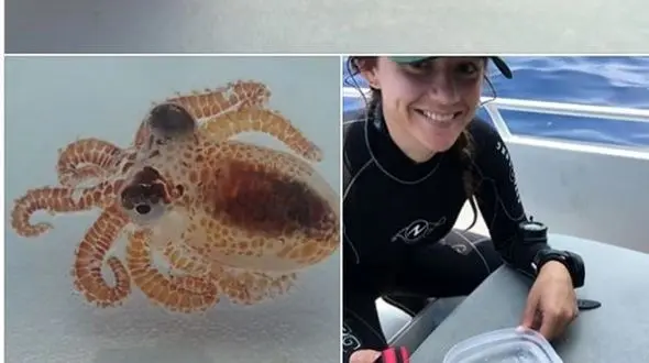 ببینید وسط زباله ها چه چیزی پیدا شد؟!+ تصاویر
