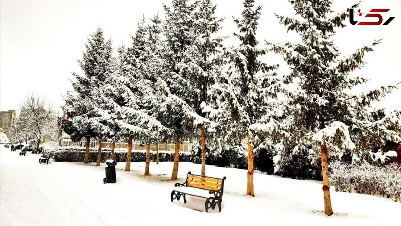  بارش برف زیبای زمستانی سرعین ؛ اردبیل + فیلم 