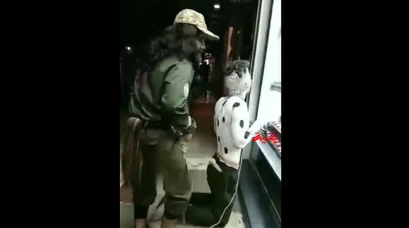 غوغای فیلم مرد سگ نما با قلاده ای بر گردن و صاحبش در اسلامشهر / بازداشت شدند