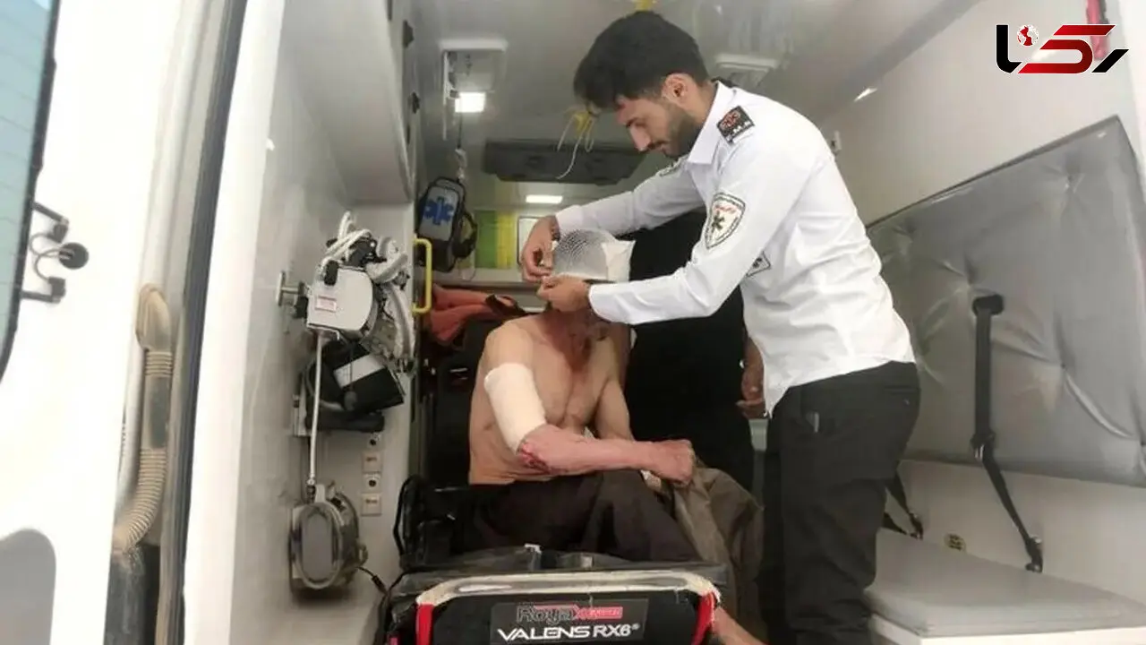سرنوشت مرد ۶۰ ساله در مواجهه با حمله خرس/ عکس