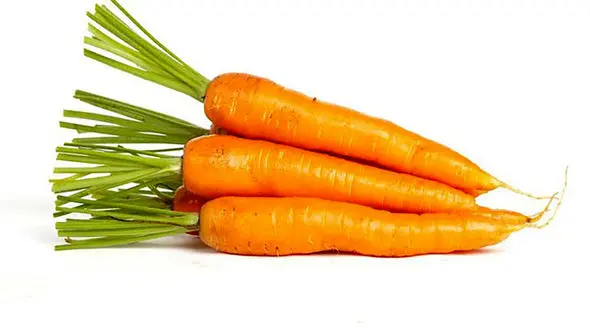 این خوردنی ها شما را لاغر می کند