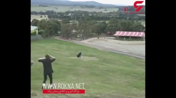 عجیب ترین تفریح  یک پسر و دختر جوان +تصویر