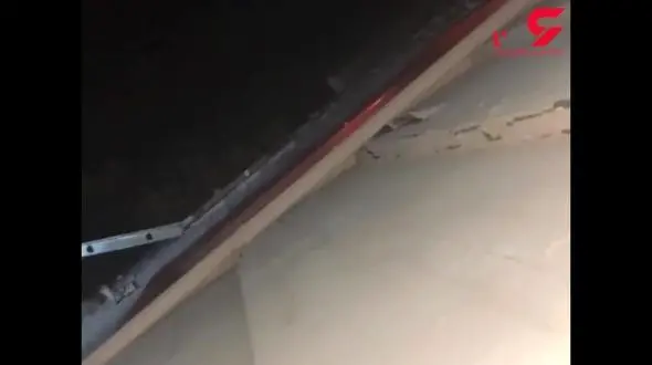 حمله وحشتناک حیوان وحشی به اهالی یک خانه + فیلم